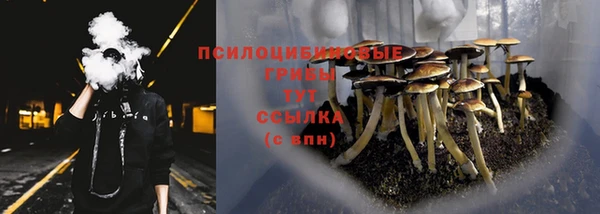 стаф Алексин