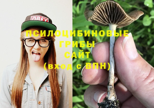 стаф Алексин