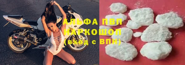 стаф Алексин