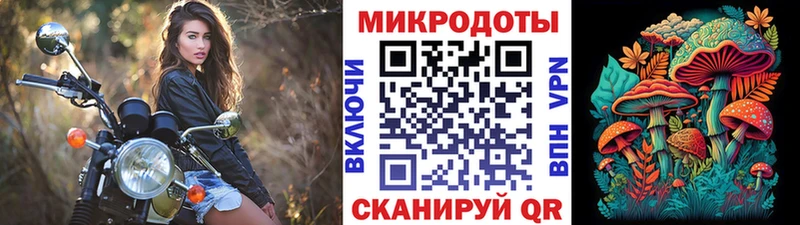 Псилоцибиновые грибы Magic Shrooms  Купить где  Сретенск 